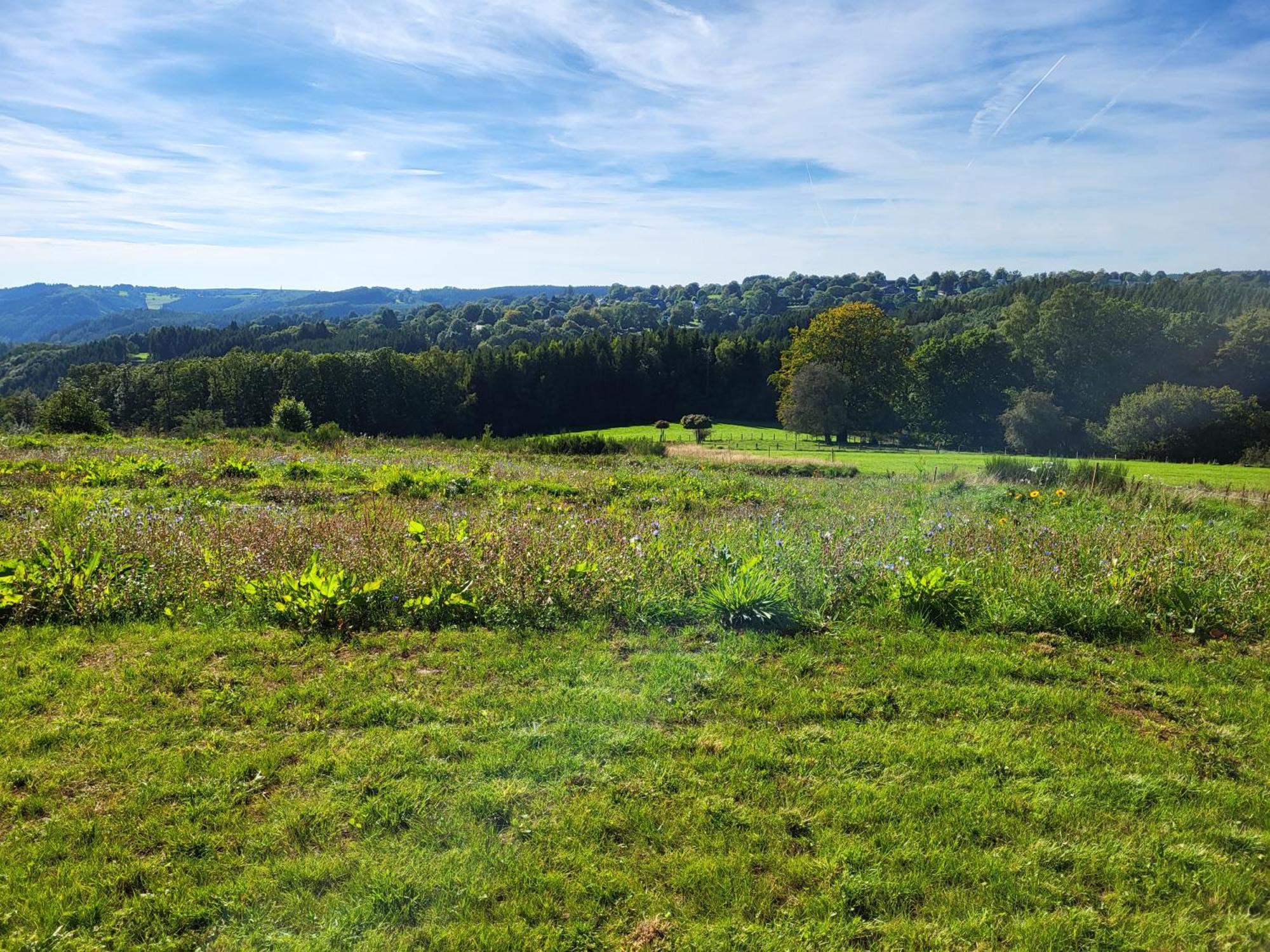 Le Pre De Regine Et Joseph Bed and breakfast Malmedy